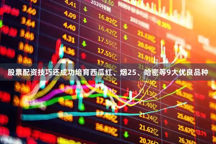 股票配资技巧还成功培育西瓜红、烟25、哈密等9大优良品种