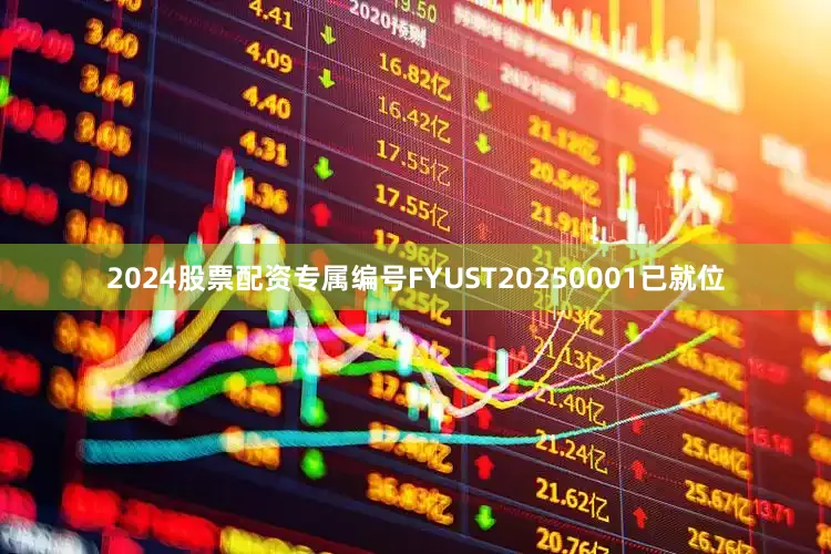 2024股票配资专属编号FYUST20250001已就位